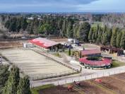 PROVENCE ALPILLES, PROPRIETE EQUESTRE,CENTRE DE BALNEO