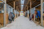 PROVENCE ALPILLES, PROPRIETE EQUESTRE,CENTRE DE BALNEO