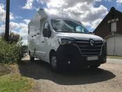 Renault Master Transport chevaux