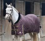 Chic double ponette 