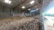 Schapen exploitatie Koop Creuse