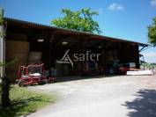 Schapen exploitatie Koop Creuse
