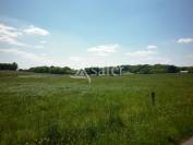 Schapen exploitatie Koop Creuse