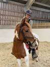 Poney 4 ans 