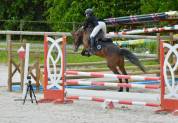 Poney de sport 