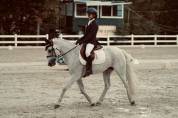 PONY IN VENDITA