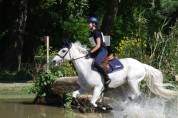 PONY IN VENDITA