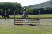 PONY IN VENDITA