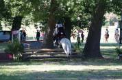PONY IN VENDITA