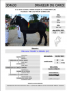 vend étalon percheron 