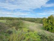 Belle propriété équestre avec manège, box, prairies