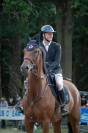 Cheval de sport Cso/Hunter