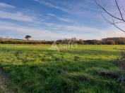 Propriété agricole avec 2 maisons et étang