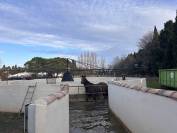 Equestrian property  Bouches-du-Rhône