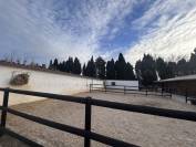 Equestrian property  Bouches-du-Rhône