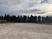 Equestrian property  Bouches-du-Rhône