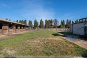 Equestrian property  Bouches-du-Rhône