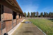 Equestrian property  Bouches-du-Rhône