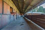Equestrian property  Bouches-du-Rhône