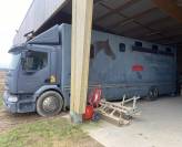 Camion chevaux 5/6 places Renault Premium home car