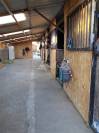 CENTRE EQUESTRE de 5 ha avec bar - JEZAINVILLE