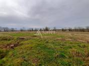 Propriété Rurale sur environ 6 ha