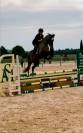 Deux supers chevaux à vendre chez l’élevage du Mas du r