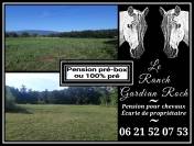 Pension pour chevaux