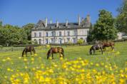 Istruttore di equitazione - CDI Tempo pieno - Allier Francia