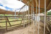 Istruttore di equitazione - CDI Tempo pieno - Allier Francia