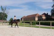 Istruttore di equitazione - CDI Tempo pieno - Allier Francia