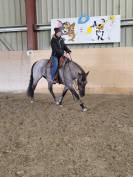 Jument quarter horse