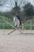 A vendre ponette oc 11 ans