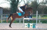 A VENDRE PONETTE CSO