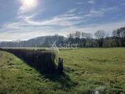 Ferme d'élevage sur 85 ha Sologne Bourbonnaise