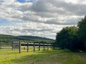 37ha dédiés à l'elevage en forêt d'Ecouves - Normandie