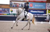 HONGRE PRE PP DRESSAGE HAUT NIVEAU 