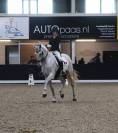 HONGRE PRE PP DRESSAGE HAUT NIVEAU 