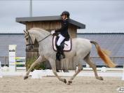 HONGRE PRE PP DRESSAGE HAUT NIVEAU 