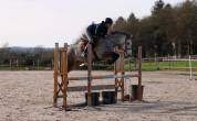 Ponette 5 ans origines exceptionnelles 