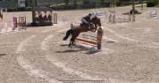 Jument SF par CANTURANO X JARNAC - 4 ans - 164 cm 