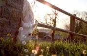 Equestrian property  Bouches-du-Rhône