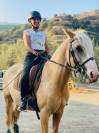 Palomino per dressage