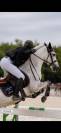 PONEY DE SPORT CSO 12ans