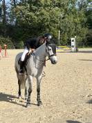 PONEY DE SPORT CSO 12ans