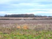 Entre Toulouse et Montauban, Domaine agricole de caractère de 3