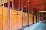 Scuderie e area recintata equestre con villa e piscina