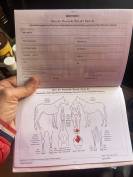 Lote 2 Potros para el deporte