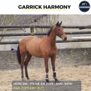 GARRICK HARMONY - 7 ANS - PS