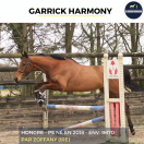 GARRICK HARMONY - 7 ANS - PS